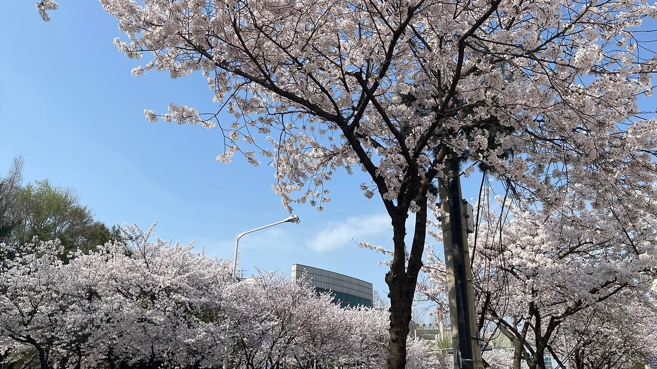 IMG_8145.jpeg?type=w1600