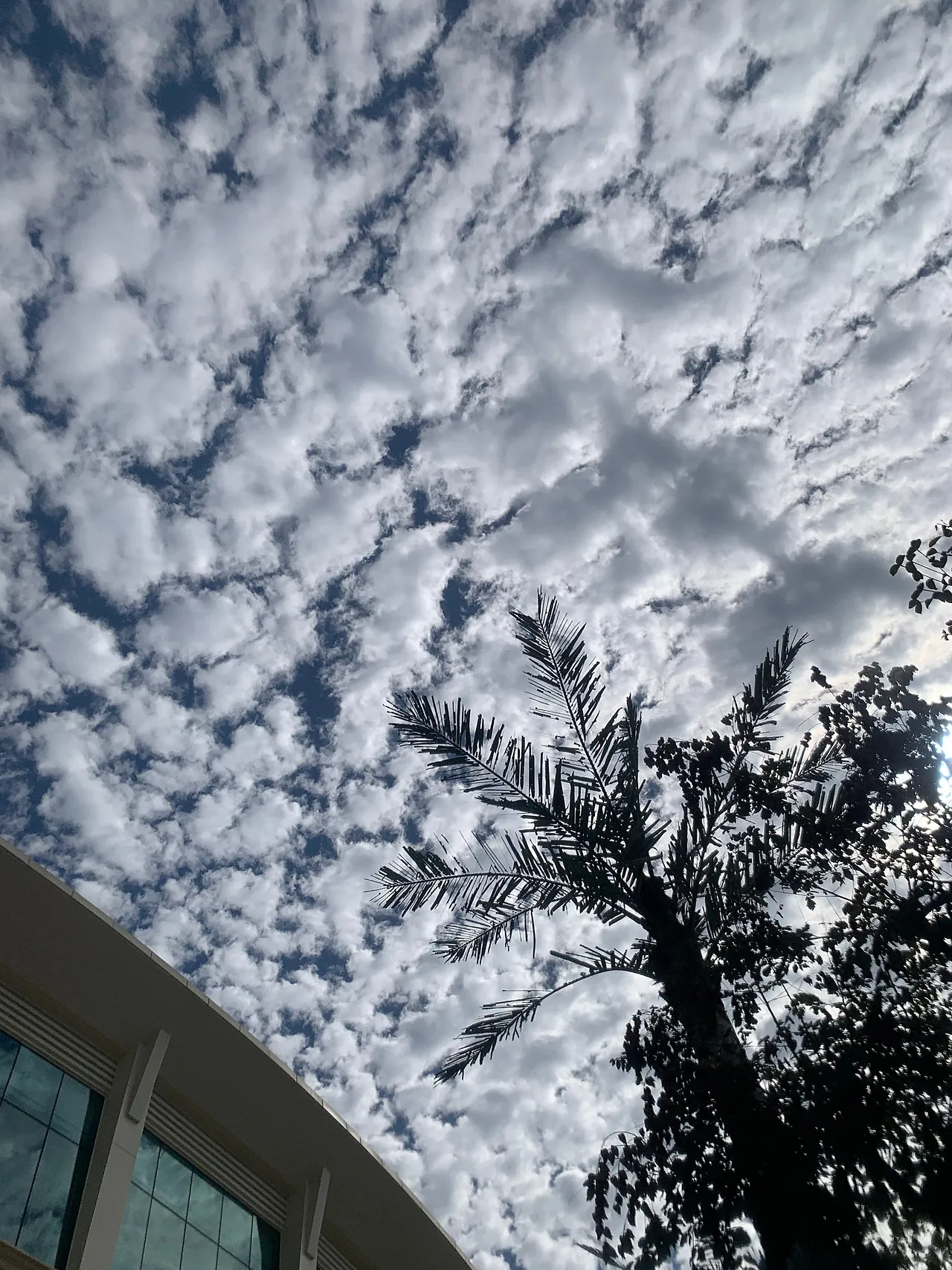 IMG_4120.jpeg?type=w1600