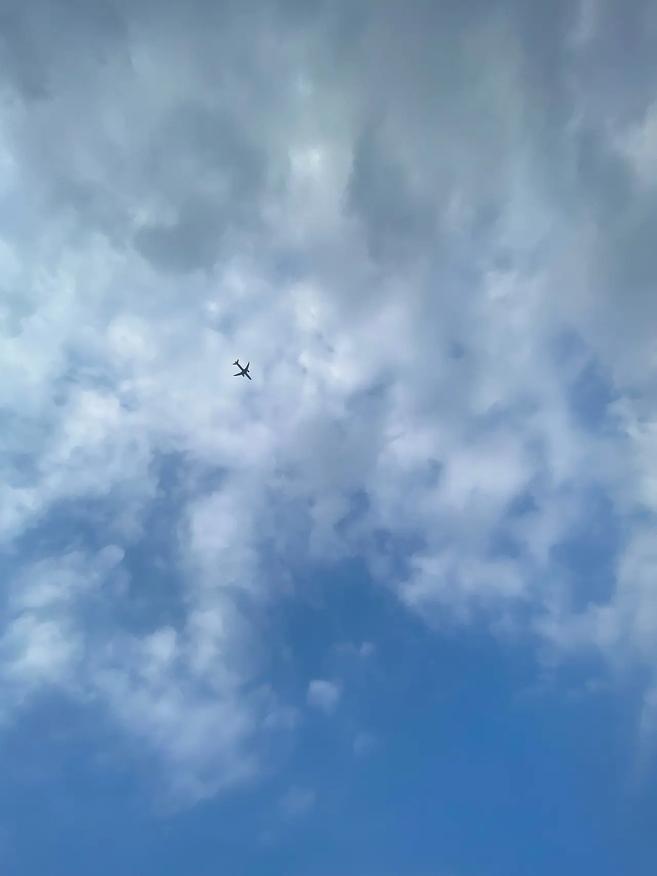 IMG_2443.jpeg?type=w1600