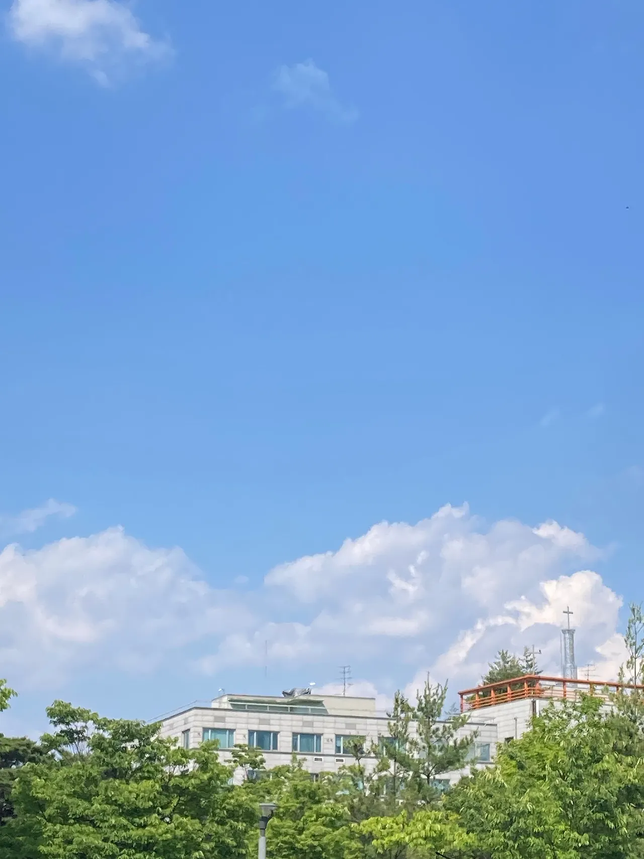 IMG_7150.jpeg?type=w1600