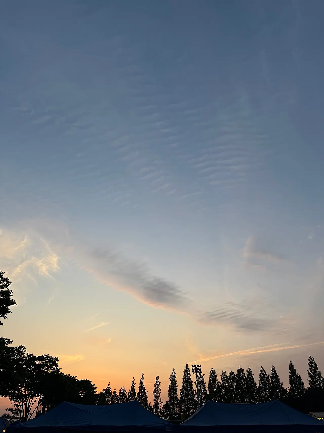 IMG_0523.jpeg?type=w1600