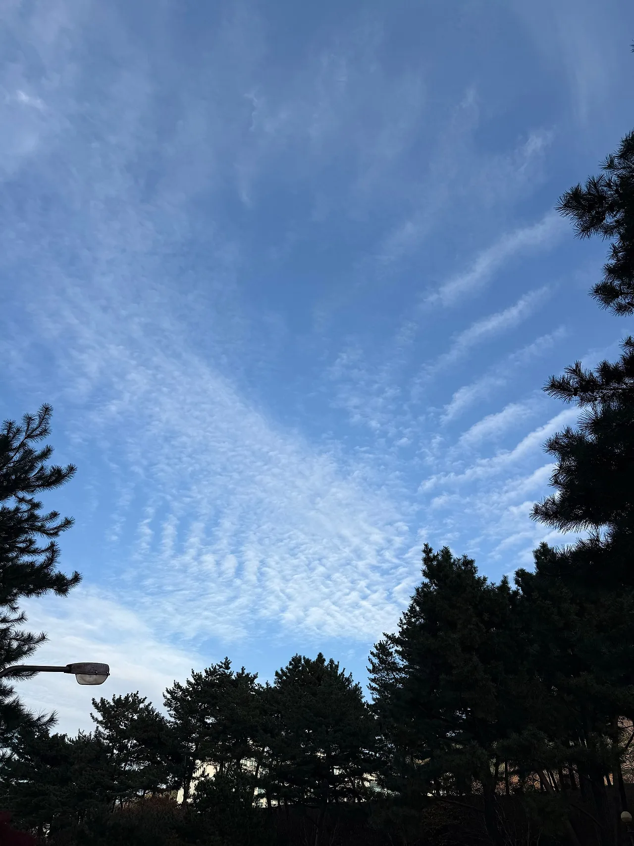 IMG_5993.jpg?type=w1600