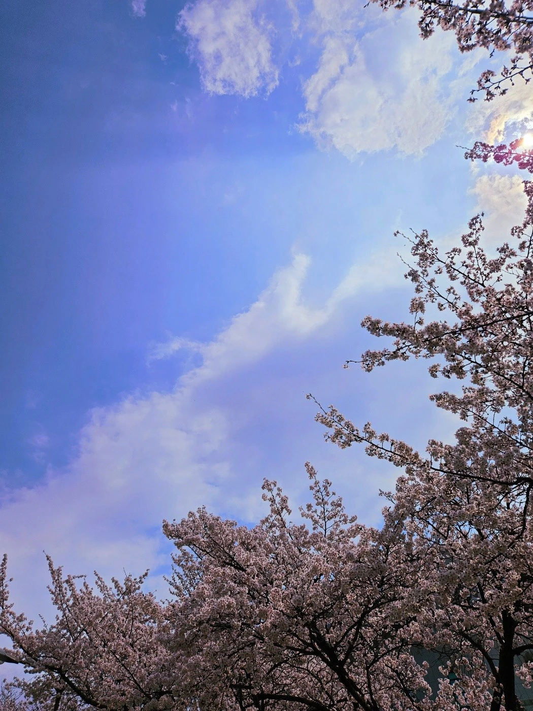 KakaoTalk_20240404_170339767_01.jpg?type=w1600