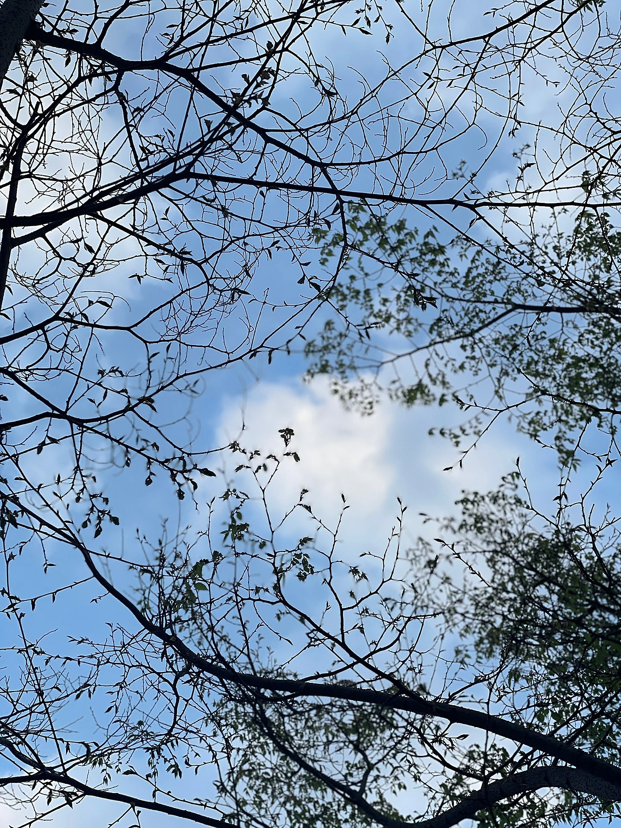 EB718515-ECA1-4DF9-8E1F-5F7DD42B9CFE.jpeg?type=w1600