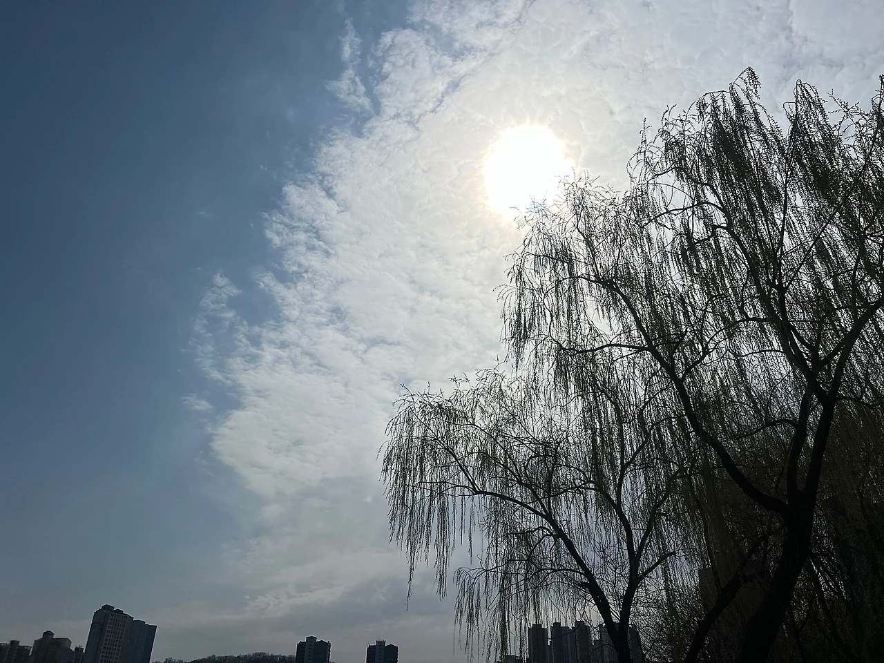 IMG_3290.jpeg?type=w1600