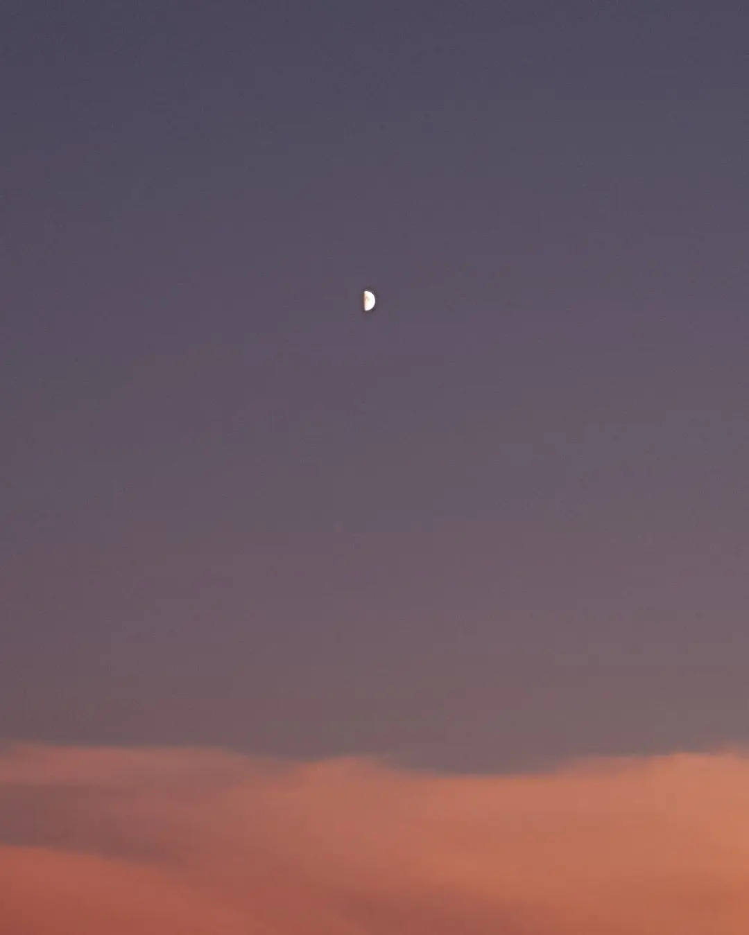 20251007013030.jpg?type=w1600