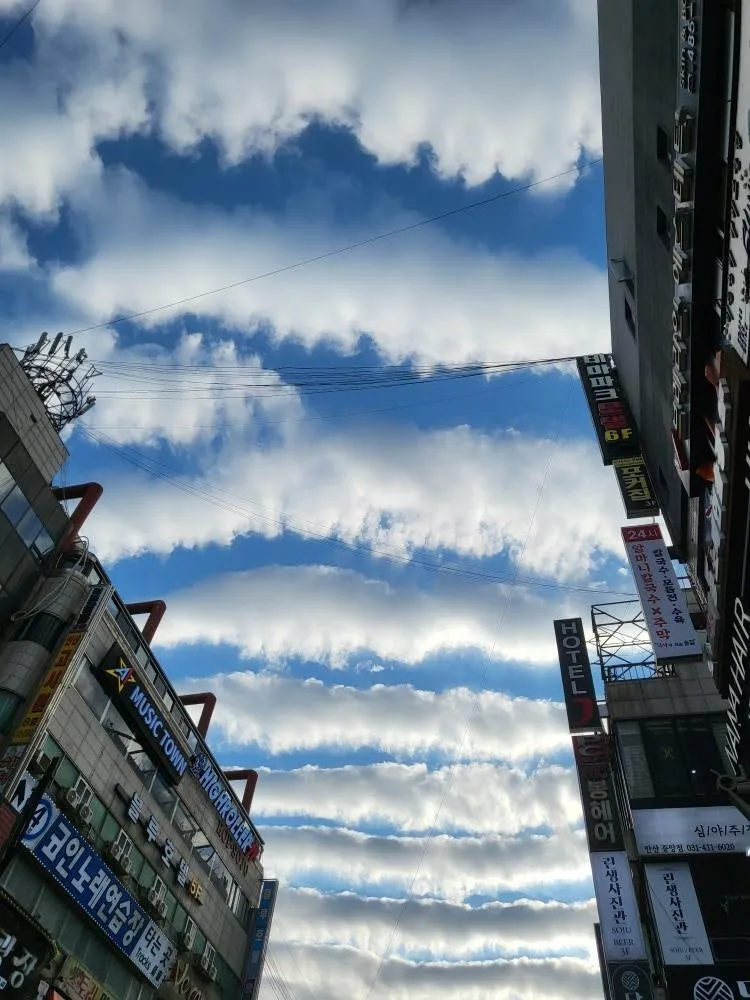 KakaoTalk_20240611_210746084.jpg?type=w1600