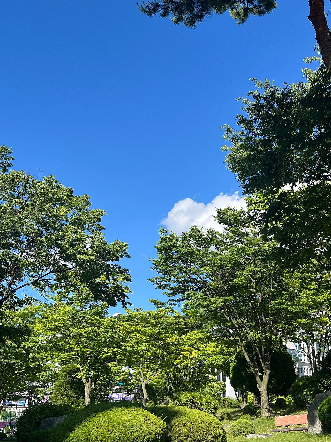 KakaoTalk_20240528_173109472.jpg?type=w1600