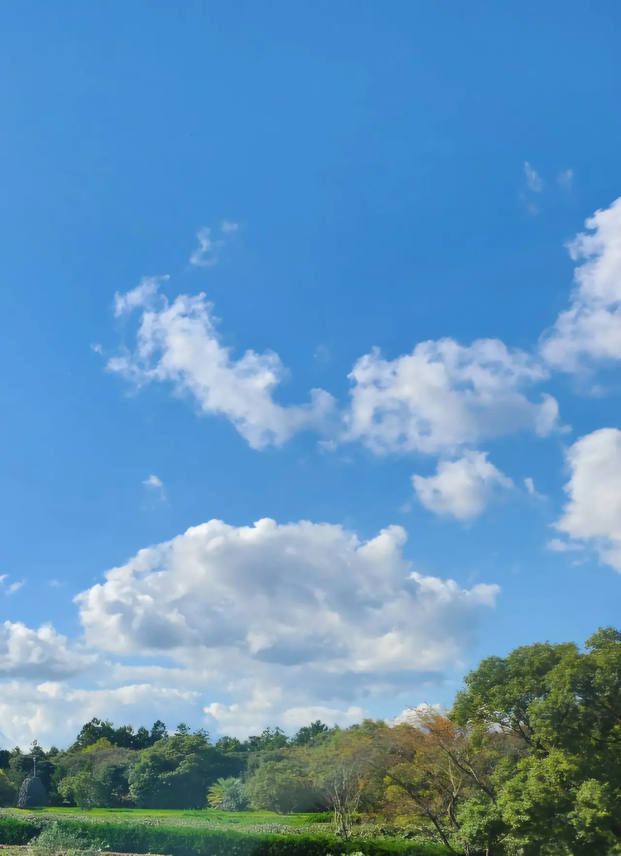 KakaoTalk_20251207_174620206_01.jpg?type=w1600