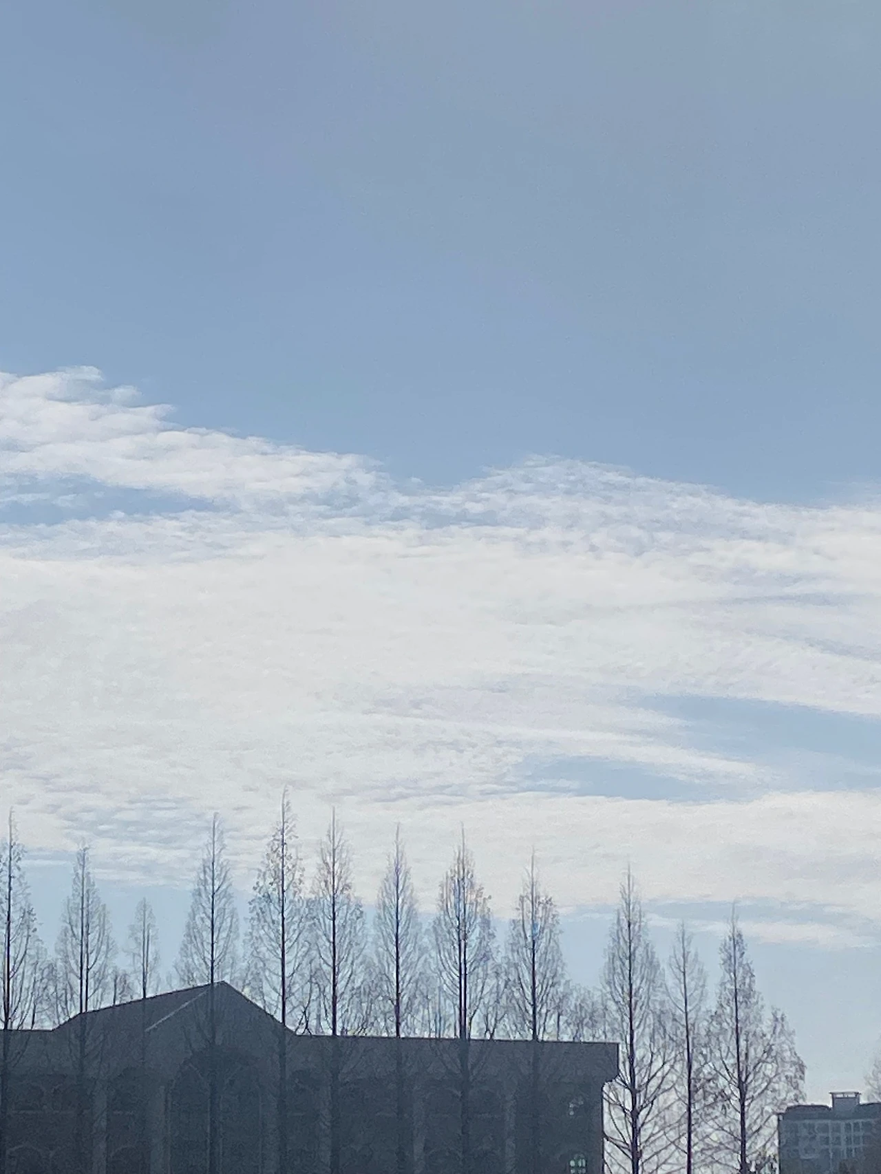 IMG_2172.jpeg?type=w1600