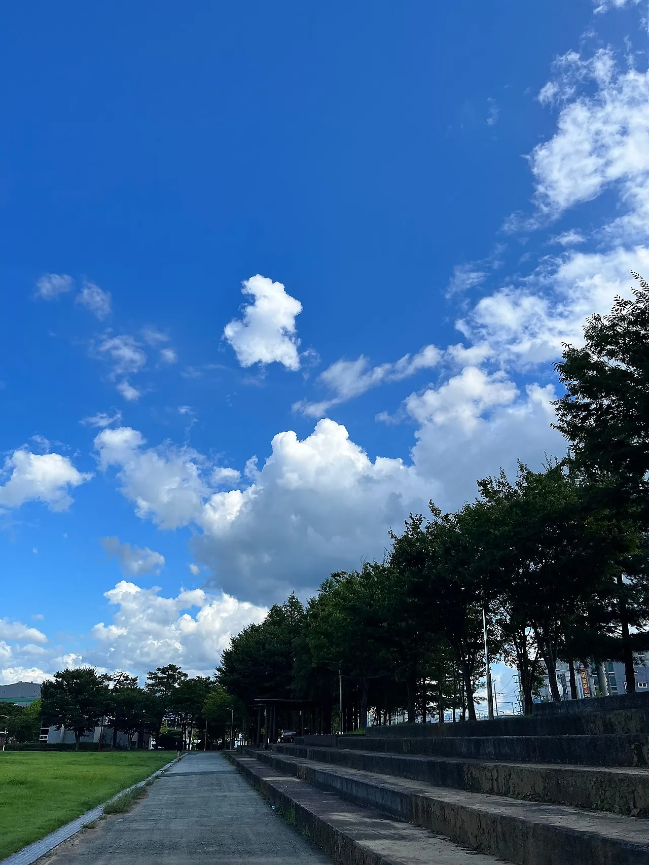 IMG_8585.jpeg?type=w1600