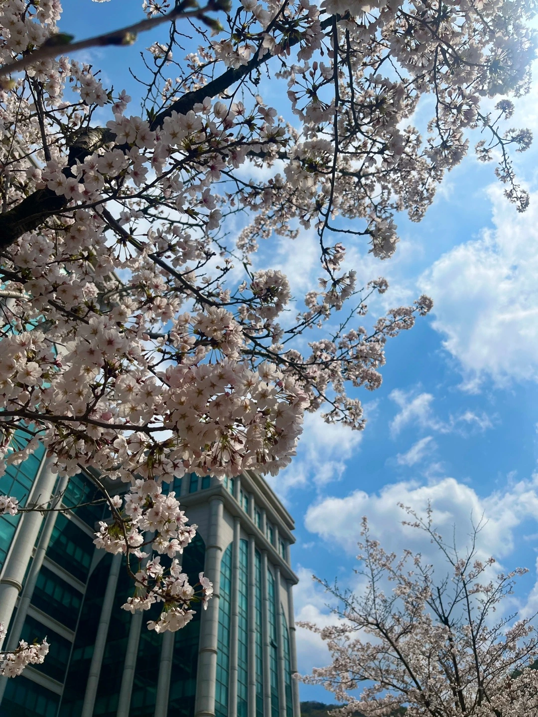 image.png?type=w1600