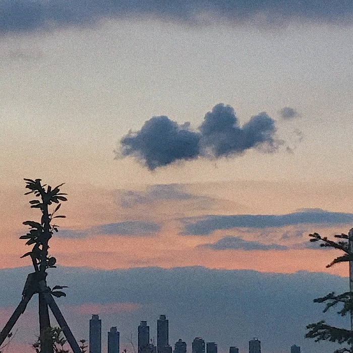 A1C91C4D-D2B0-40B5-8DD3-11ECE04CB2C2.jpeg?type=w1600