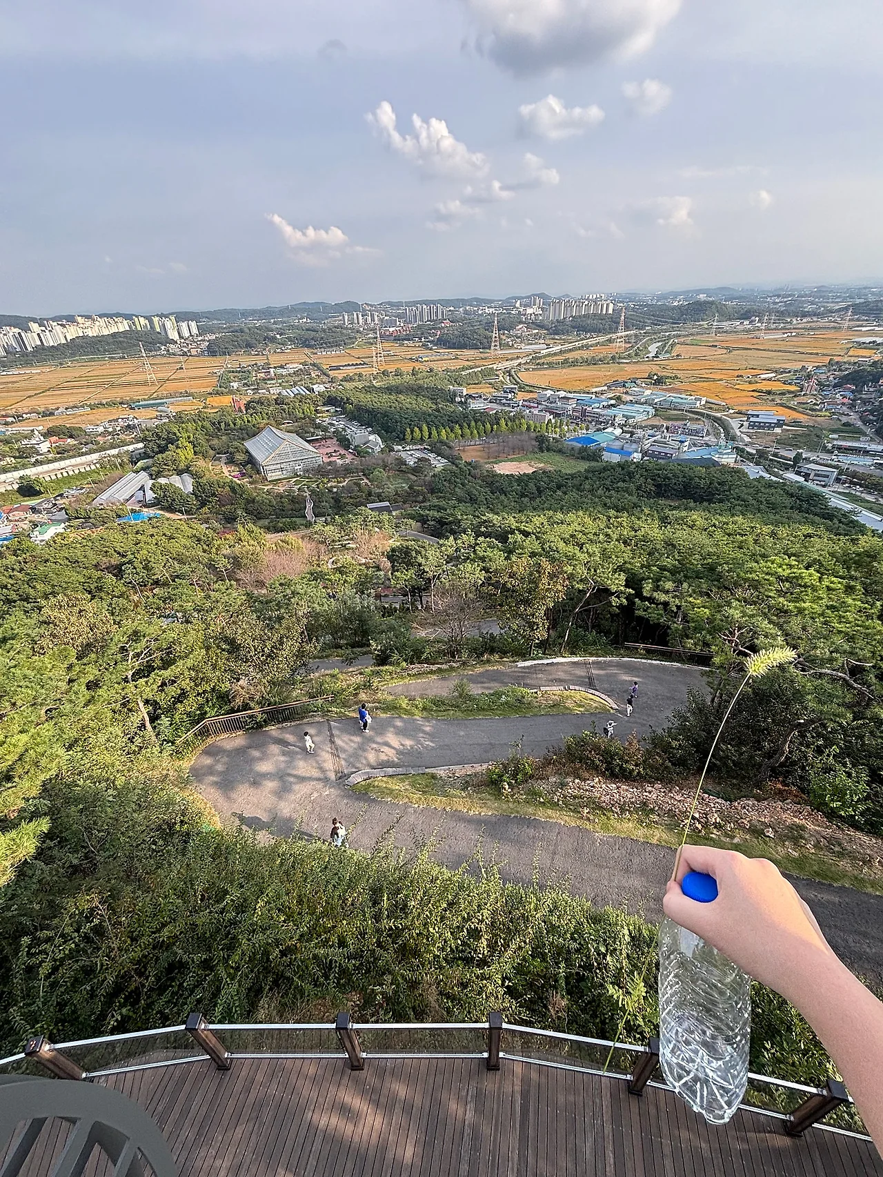 IMG_1227.jpeg?type=w1600