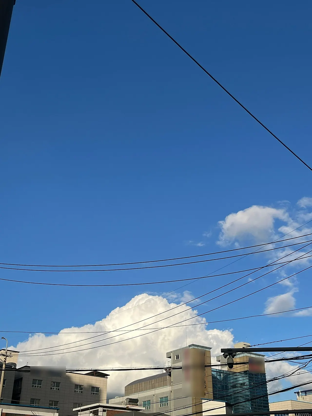 20212534_%EC%9A%A9%EC%98%88%EC%8A%AC_%EA%B5%AC%EB%A6%84%EC%82%AC%EC%A7%84.jpg?type=w1600