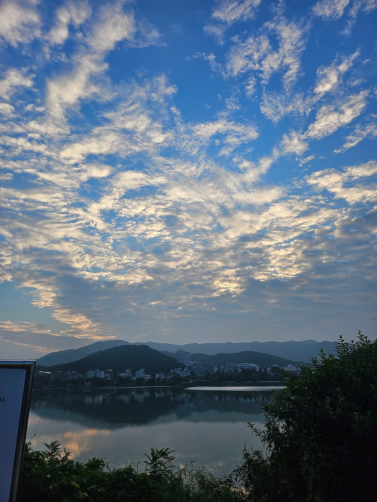 20240911_064025.jpg?type=w1600