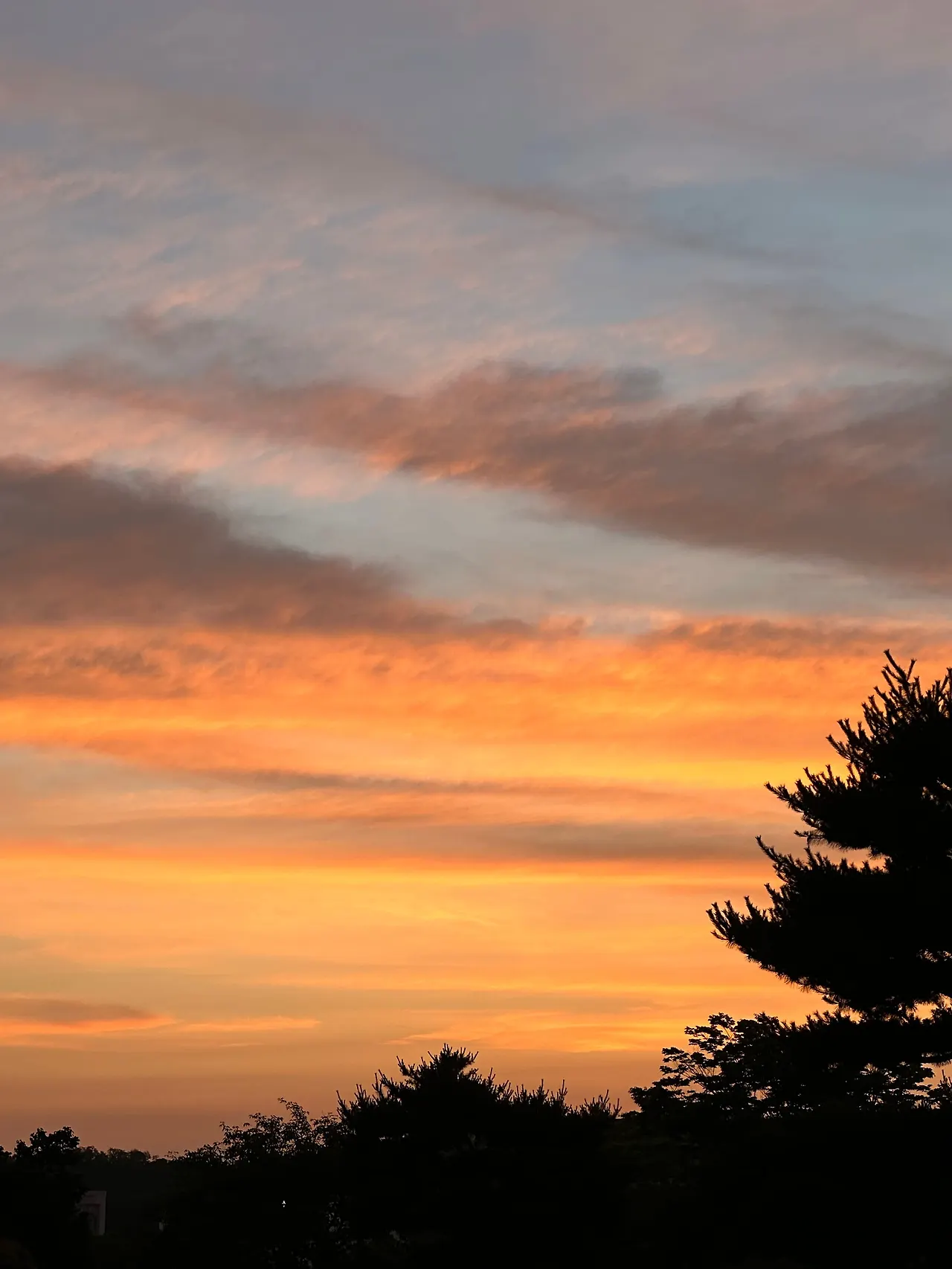 IMG_4602.jpeg?type=w1600