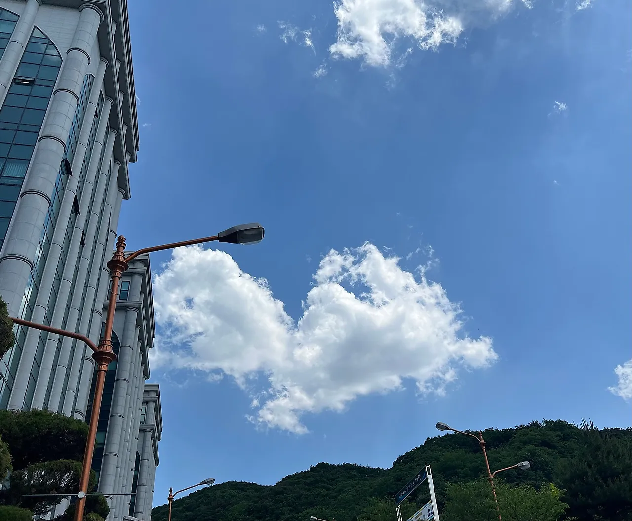 IMG_1785.jpeg?type=w1600