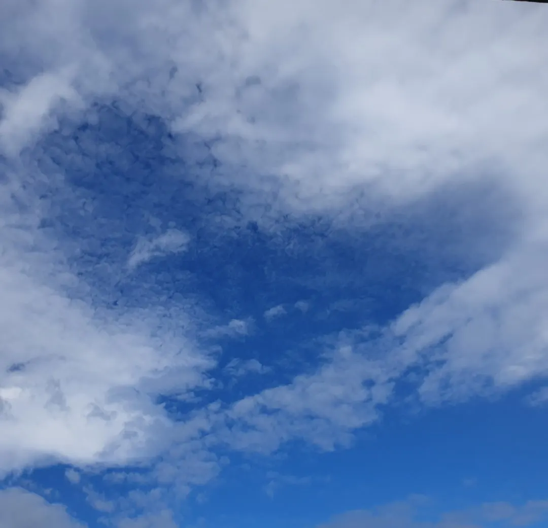 20240520%EF%BC%BF014050.jpg?type=w1600