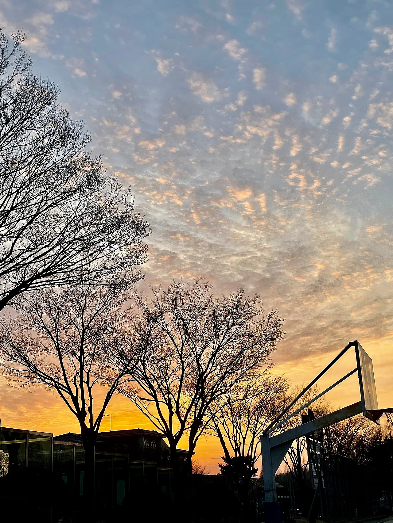 IMG_9456.jpg?type=w1600