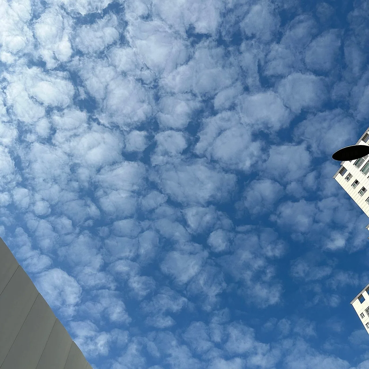 1ngTL2pO-t6J4KIkex-tkOBN7UQ