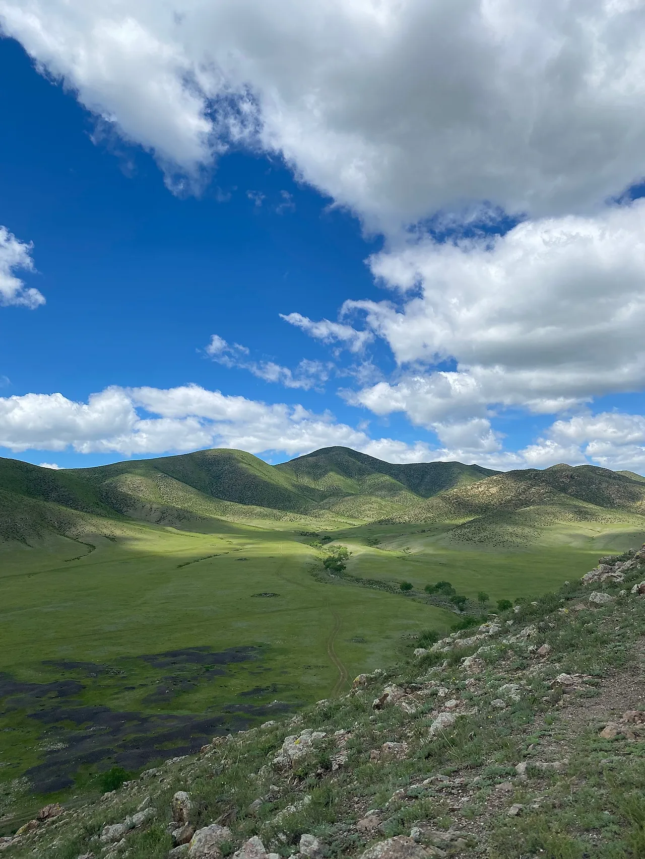 IMG_0654.jpeg?type=w1600