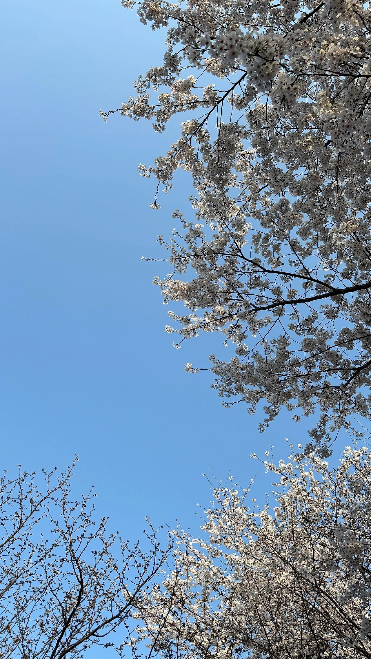 IMG_8698.jpeg?type=w1600