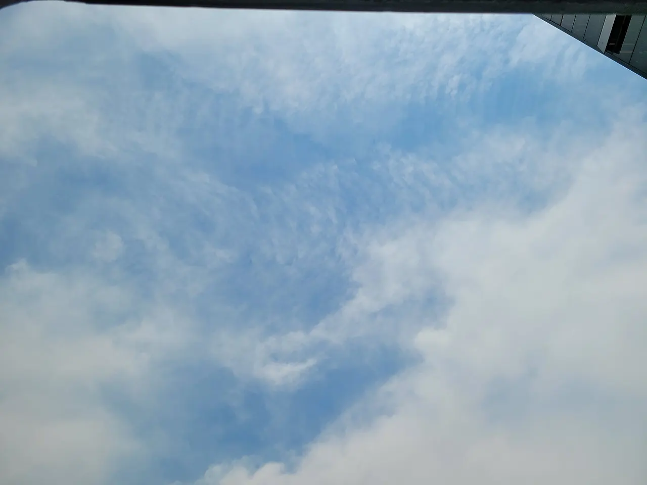 20240607_114204.jpg?type=w1600