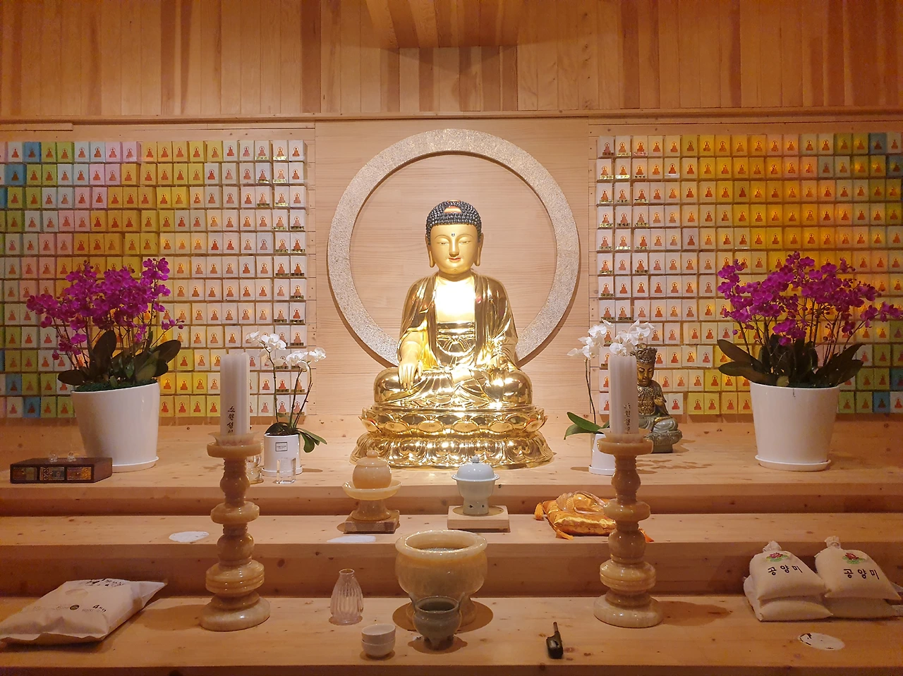 ff3a582ba5a45b39492de965692b3bd43b1dff13