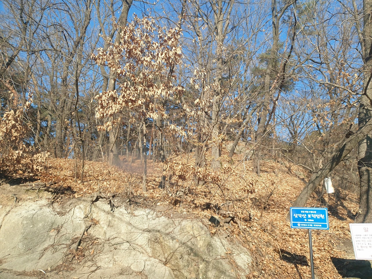 FCNzvEF_byIX9HgVctZSGWgid-4