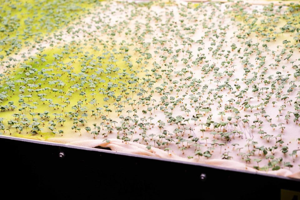 5d7fe6142e22af05d00d44aa-960-640.jpg?type=w1200