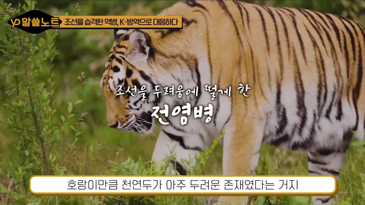 image.png?type=w1200