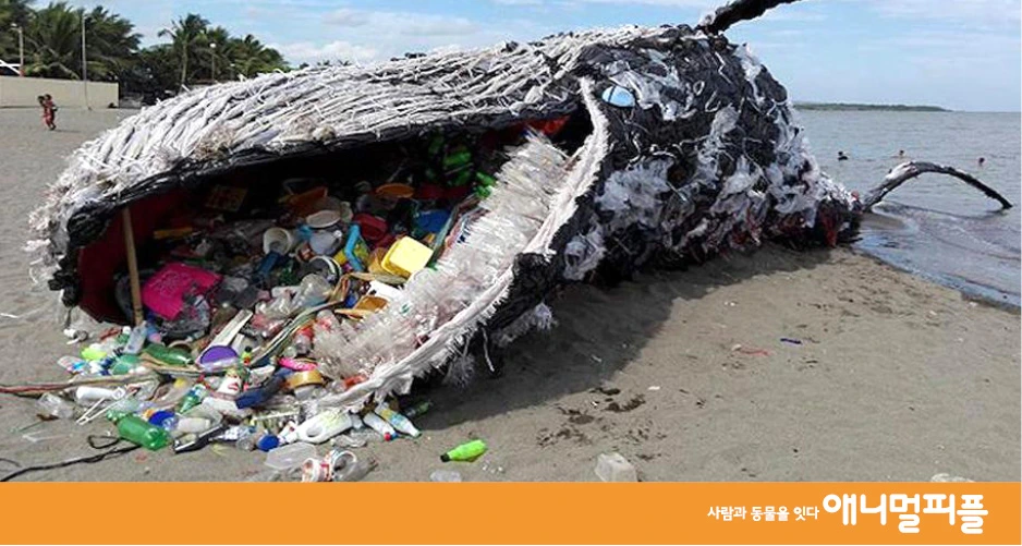 152341566482_20180412.jfif