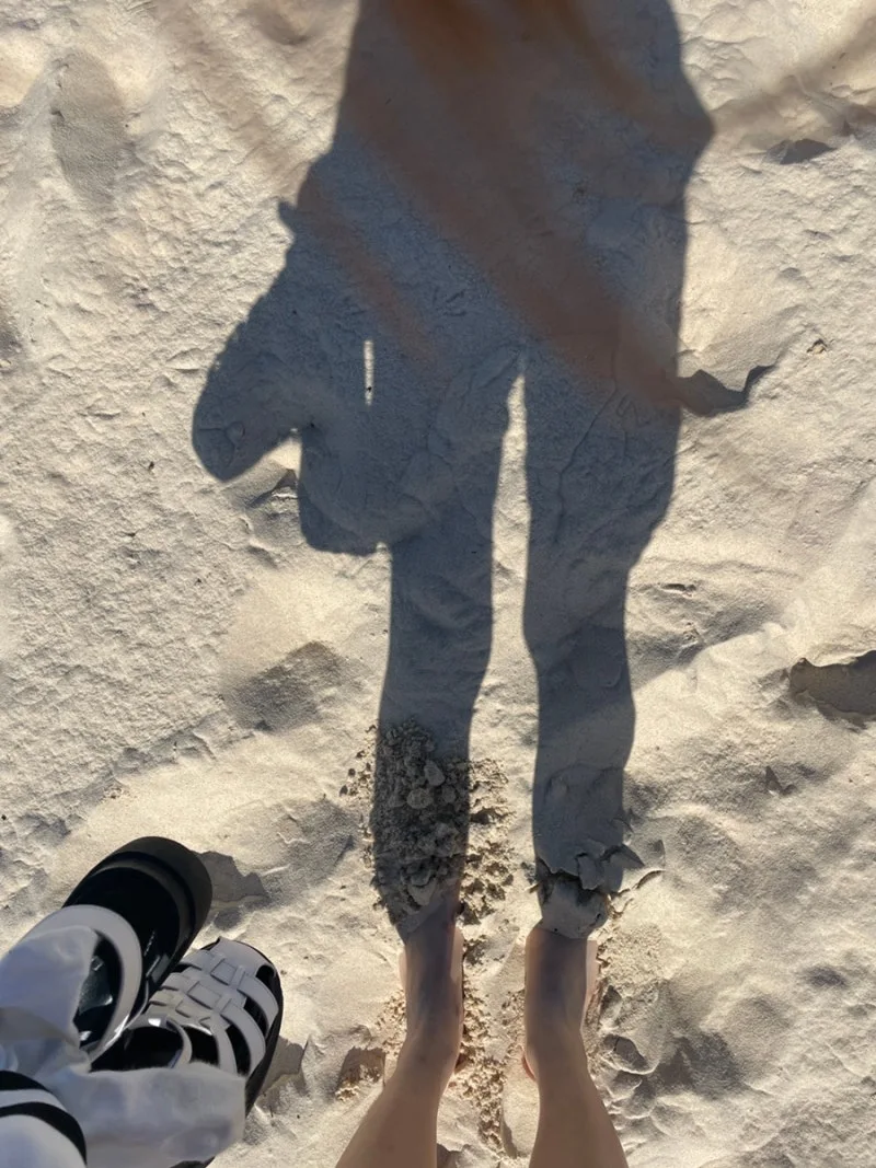 IMG_8201.JPG?type=w800