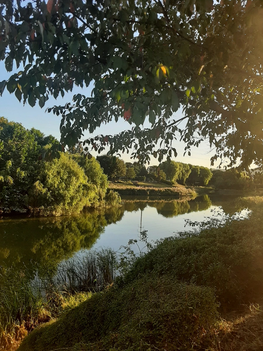 20220927%EF%BC%BF173448.jpg?type=w1