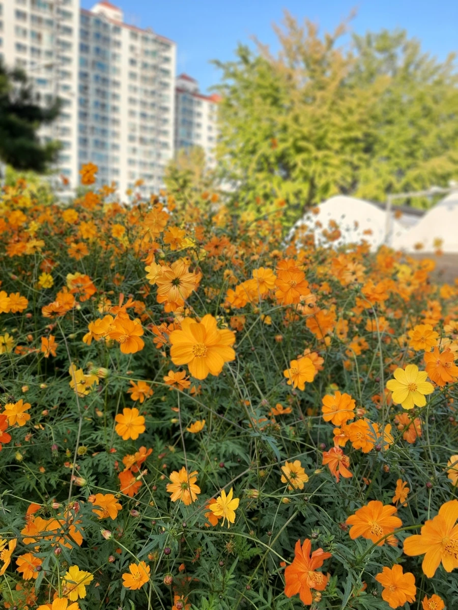 20221013%EF%BC%BF170746.jpg?type=w1