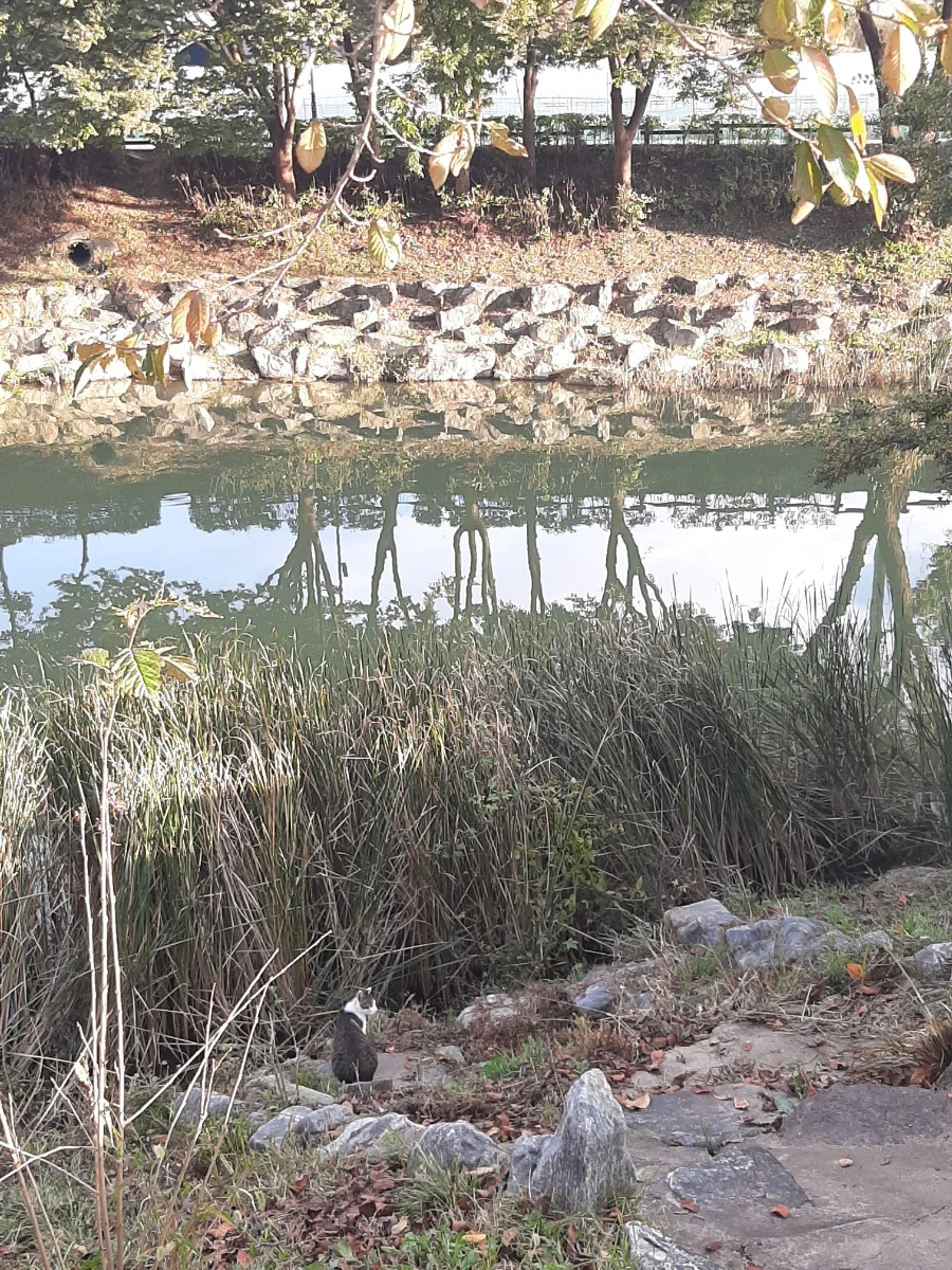 20221013%EF%BC%BF164501.jpg?type=w1