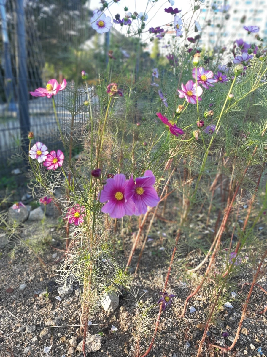 20221013%EF%BC%BF170534.jpg?type=w1