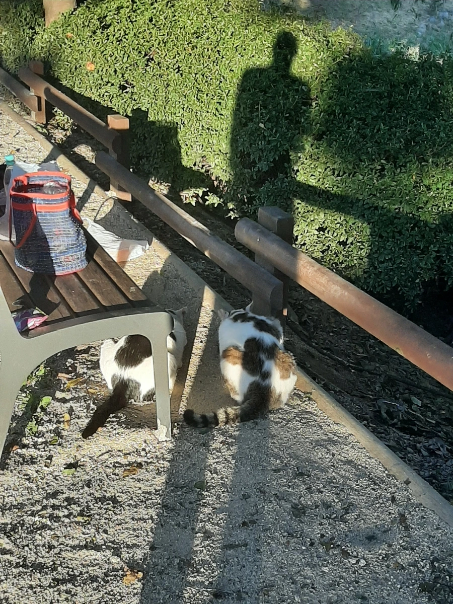 20220927%EF%BC%BF173210.jpg?type=w1