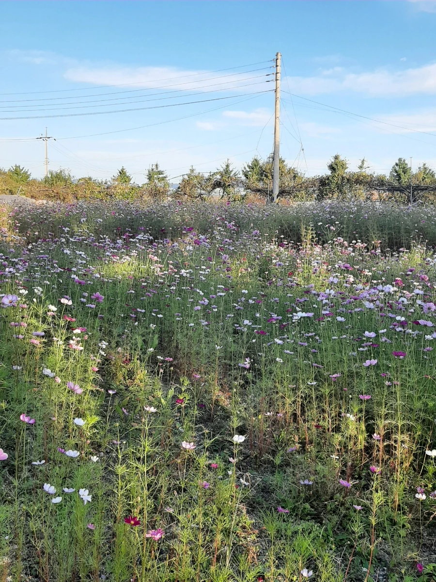 20221013%EF%BC%BF170423.jpg?type=w1