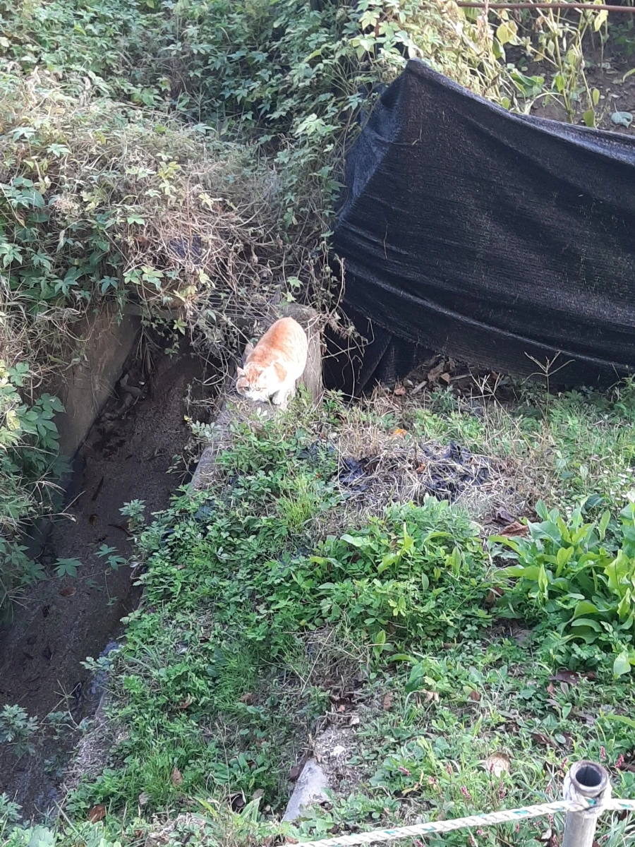 20221013%EF%BC%BF165759.jpg?type=w1