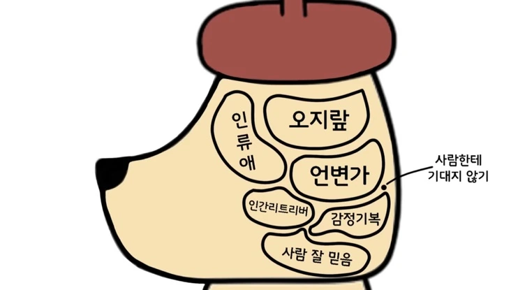 SE-EE0CE7E8-0B9B-4C2C-8C63-E7D09B6A2749.jpg?type=w966