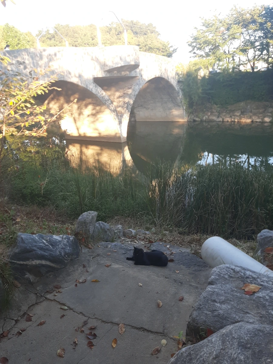 20220927%EF%BC%BF173920.jpg?type=w1