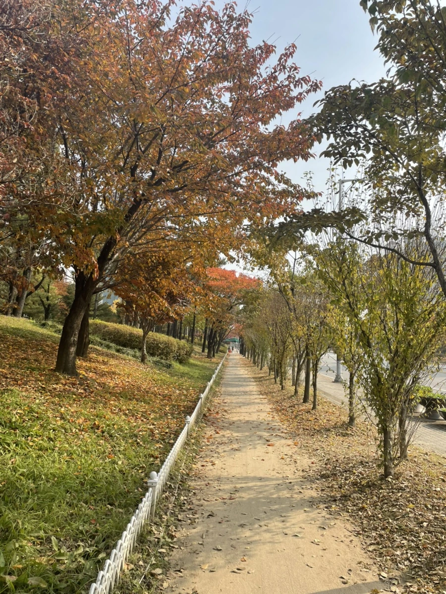 IMG_0595.jpg?type=w1