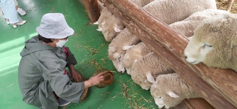 KakaoTalk_20200528_224135712_01_(2).jpg?type=w773