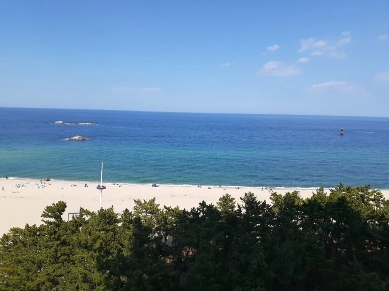 KakaoTalk_20200528_224135712_28.jpg?type=w773