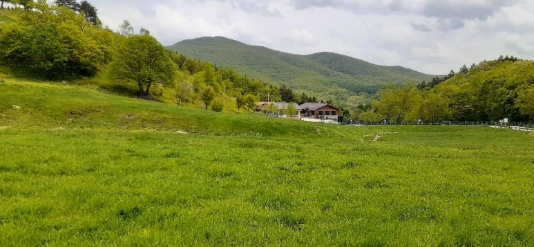 KakaoTalk_20200528_224135712_(3).jpg?type=w773