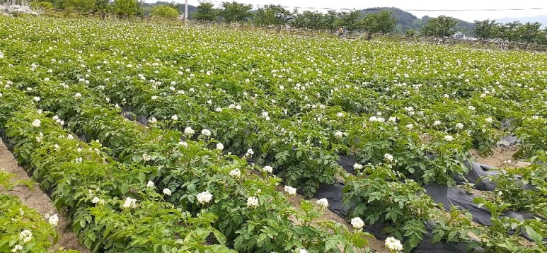 KakaoTalk_20200528_224135712_05_(2).jpg?type=w773