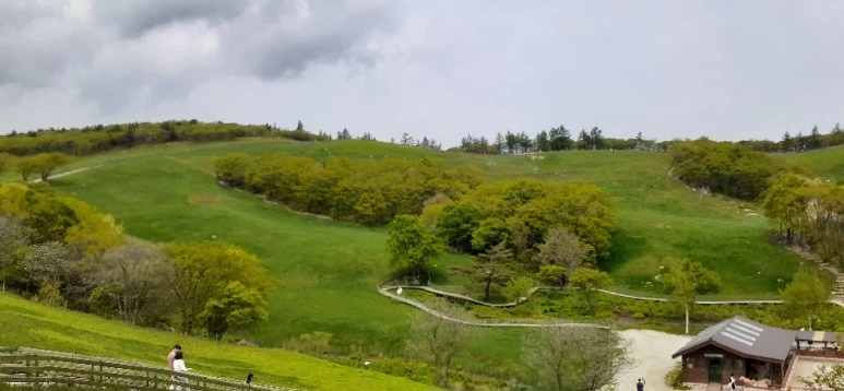 KakaoTalk_20200528_224135712_02_(2).jpg?type=w773