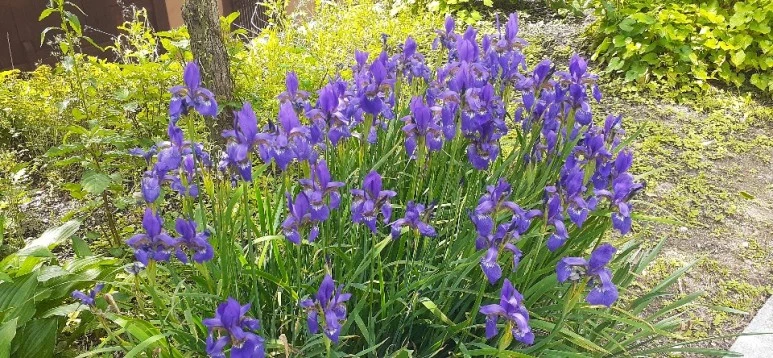 KakaoTalk_20200528_224135712_18_(3).jpg?type=w773